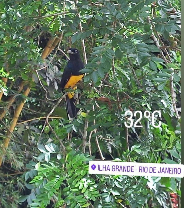 Bangalo Na Acqua Jungle Lodge Abraão Dış mekan fotoğraf
