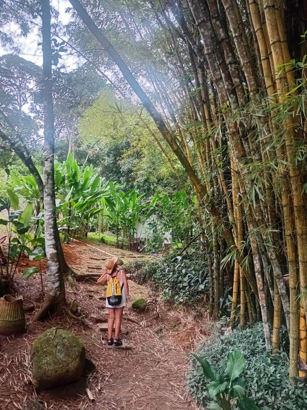 Bangalo Na Acqua Jungle Lodge Abraão Dış mekan fotoğraf